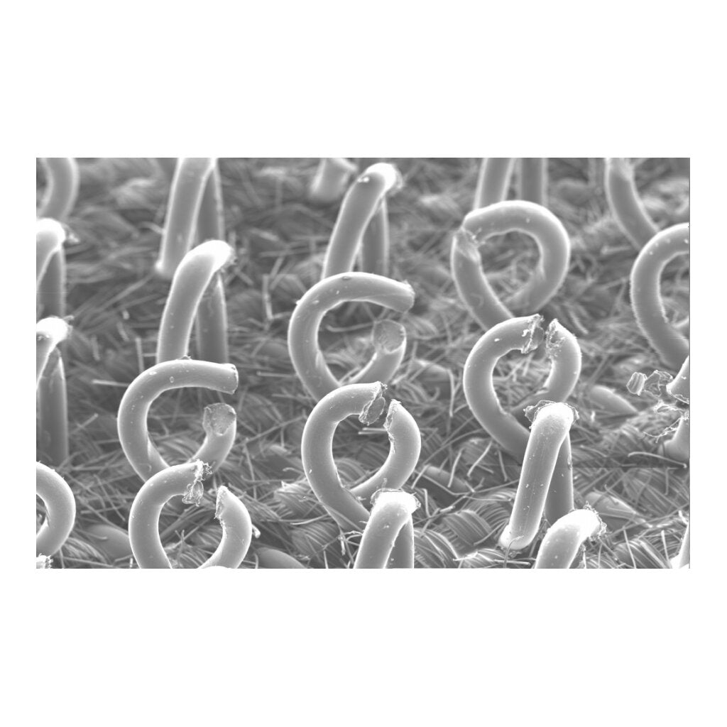 3M Xtract Disc Pad Hook Saver 28326, 3 in 3 Holes