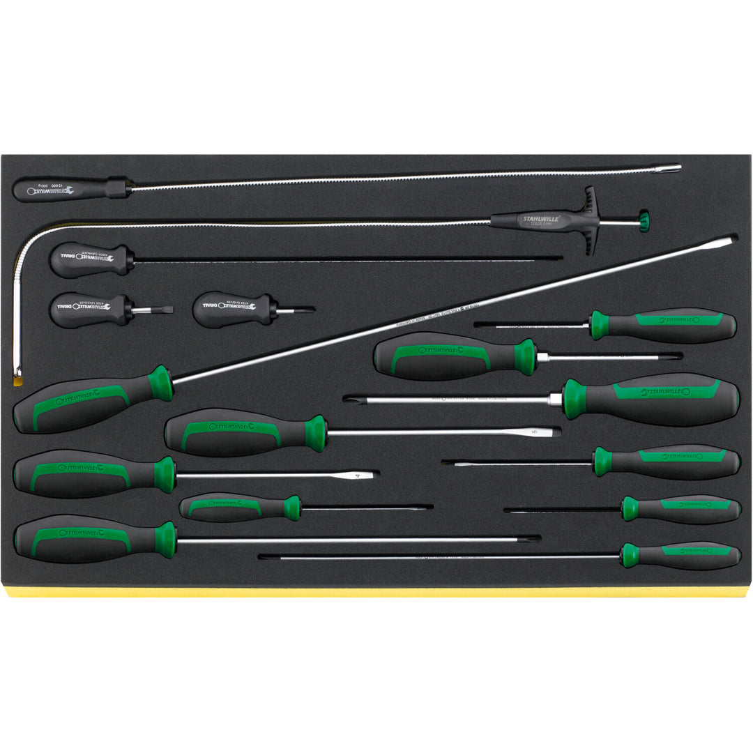 Stahlwille 97830606 2501N TCS Workshop set for BMW motorbikes