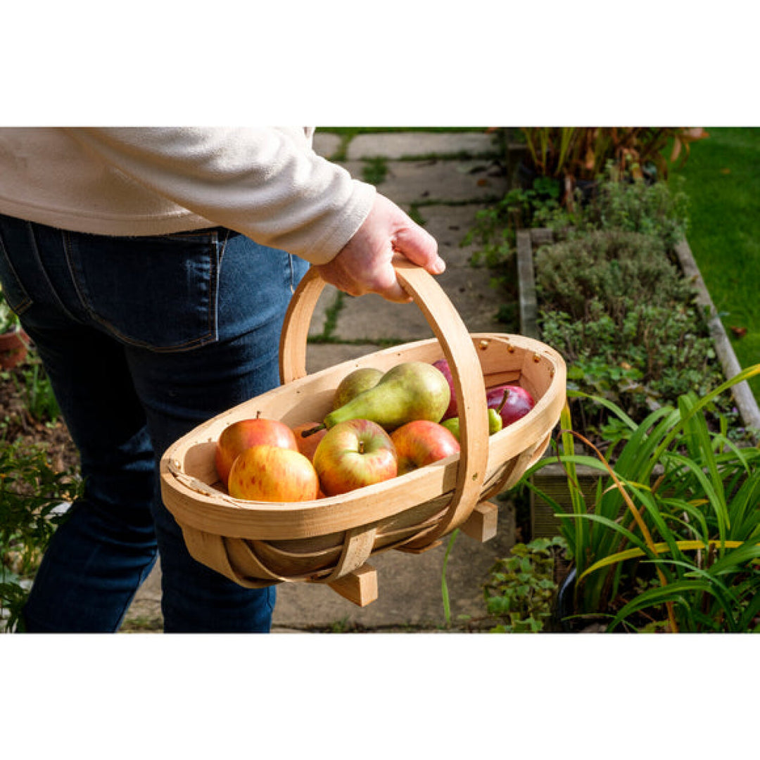 Corona GHV/TRM  Burgon & Ball® Natural FSC Wood Trug Large